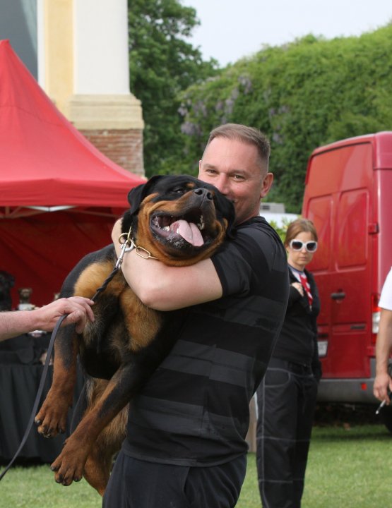 Yerri von der Alten Festung Yerri von der Alten Festung