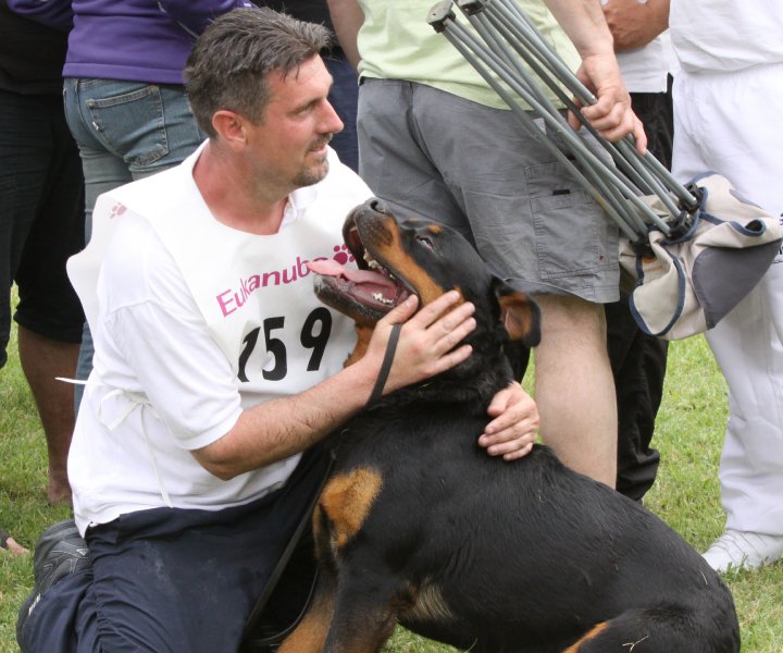 Yerri von der Alten Festung Yerri von der Alten Festung