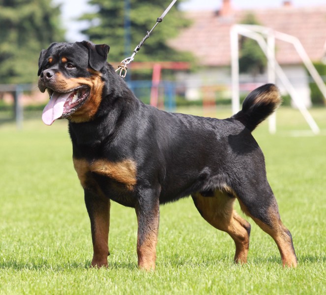 Yerri von der Alten Festung Yerri von der Alten Festung