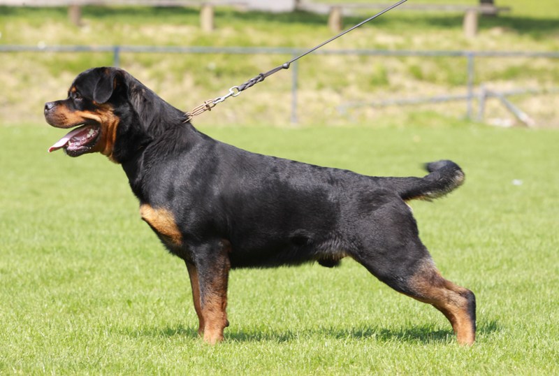 Yerri von der Alten Festung Yerri von der Alten Festung