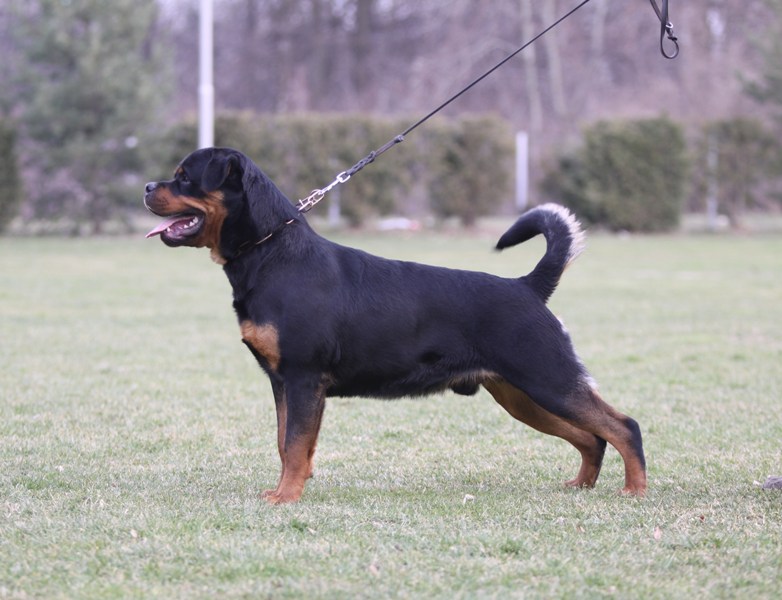 Yerri von der Alten Festung Yerri von der Alten Festung