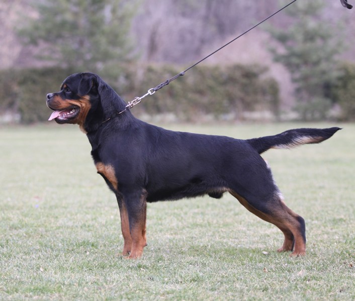 Yerri von der Alten Festung Yerri von der Alten Festung