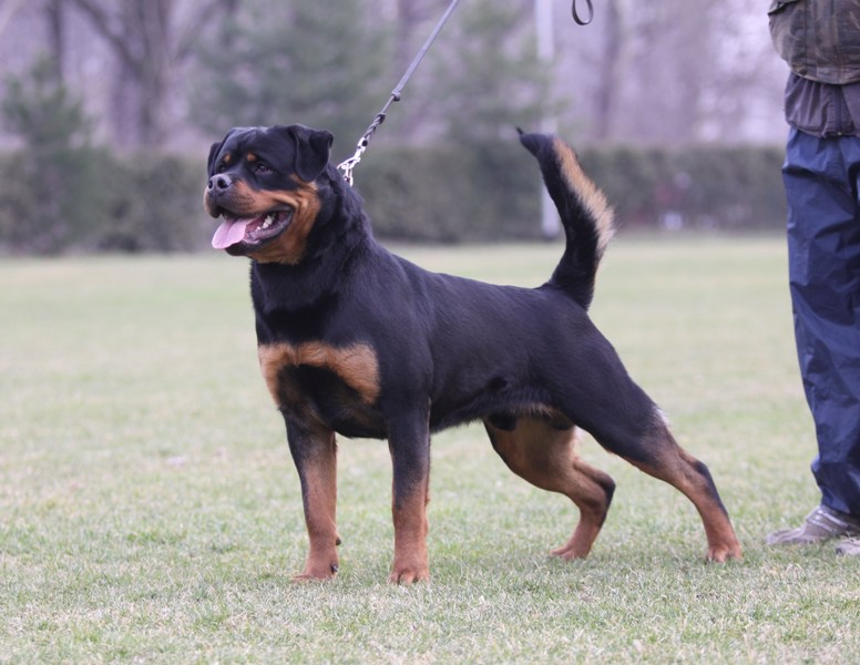 Yerri von der Alten Festung Yerri von der Alten Festung
