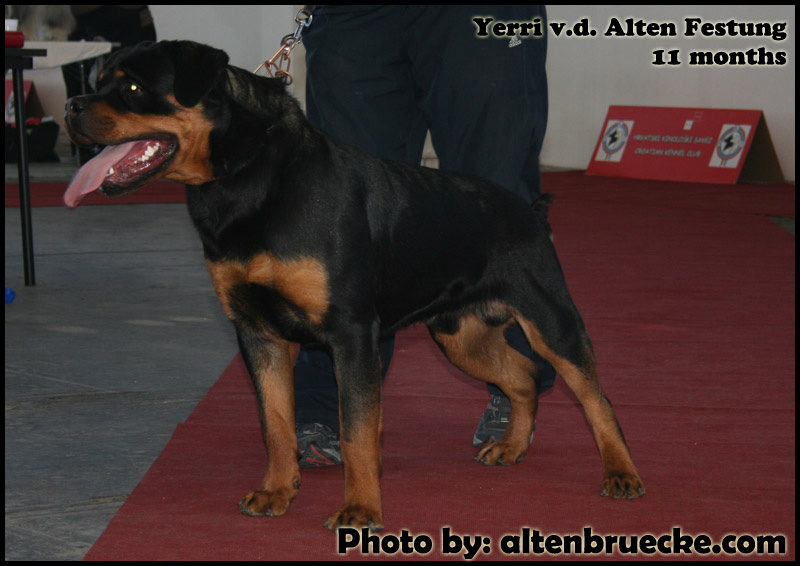 Yerry von der Alten Festung Yerry von der Alten Festung