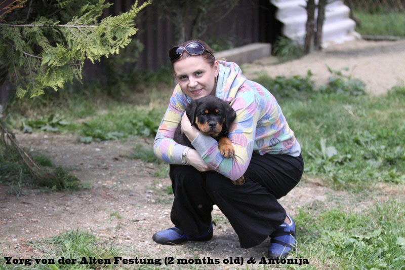 Yorg von der Alten Festung Yorg von der Alten Festung