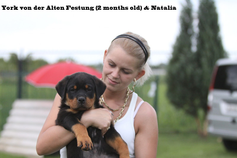 York von der Alten Festung York von der Alten Festung