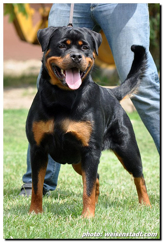 Yuma von der Alten Festung Yuma von der Alten Festung