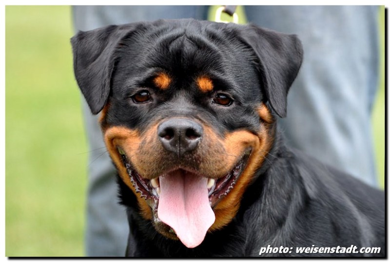 Yuma von der Alten Festung Yuma von der Alten Festung