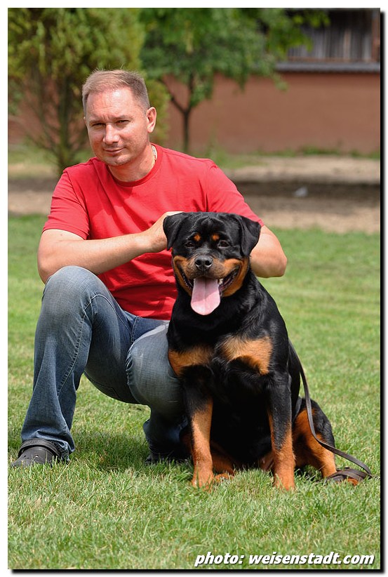 Yuma von der Alten Festung Yuma von der Alten Festung