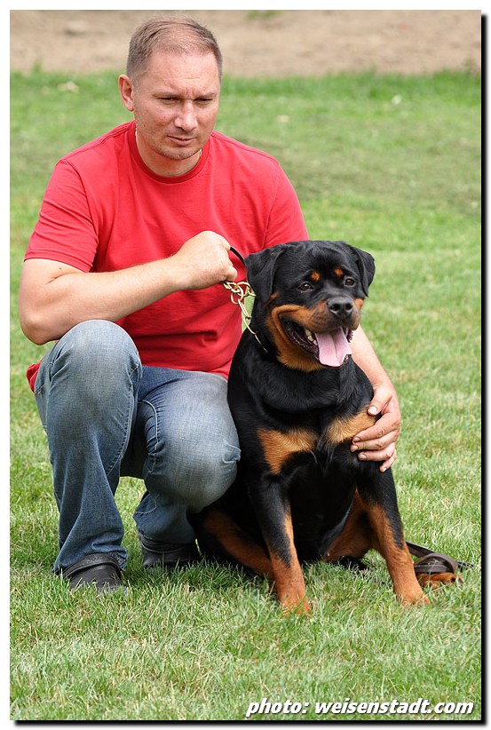 Yuma von der Alten Festung Yuma von der Alten Festung