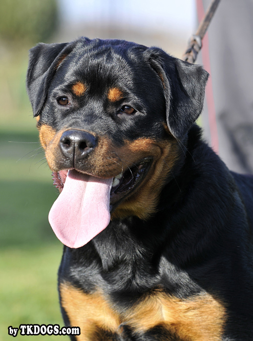 Yuma von der Alten Festung Yuma von der Alten Festung