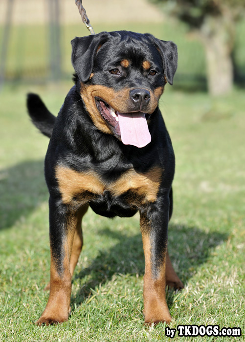 Yuma von der Alten Festung Yuma von der Alten Festung