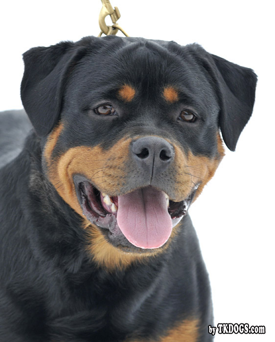 Yuma von der Alten Festung Yuma von der Alten Festung