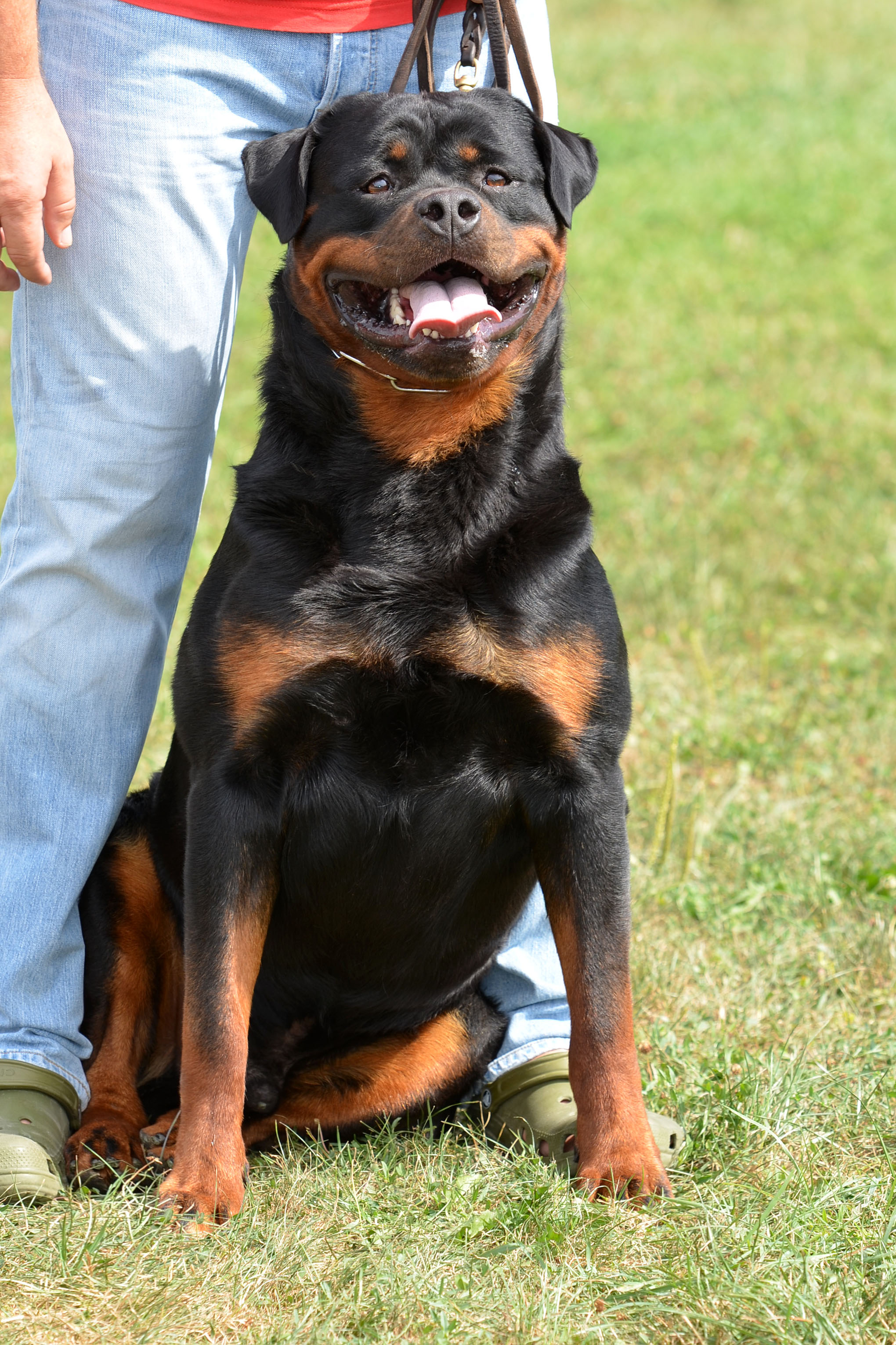 Yumbo von der Alten Festung Yumbo von der Alten Festung