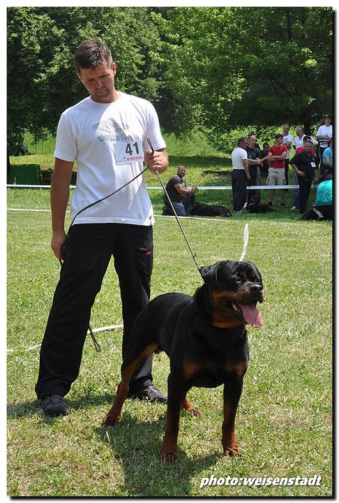 Yumbo von der Alten Festung Yumbo von der Alten Festung