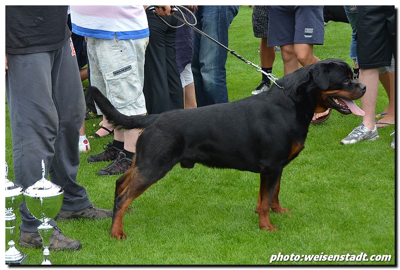 Yumbo von der Alten Festung Yumbo von der Alten Festung