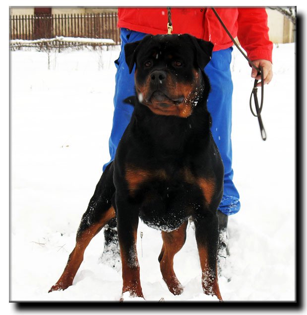 Yumbo von der Alten Festung Yumbo von der Alten Festung