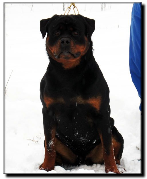 Yumbo von der Alten Festung Yumbo von der Alten Festung