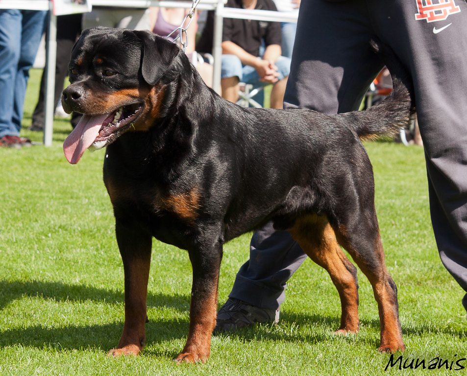 Yumbo von der Alten Festung Yumbo von der Alten Festung