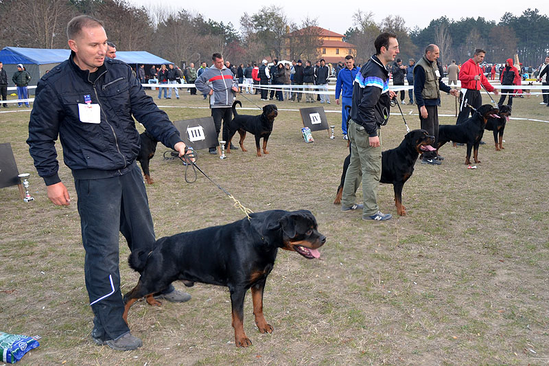 Yumbo von der Alten Festung Yumbo von der Alten Festung