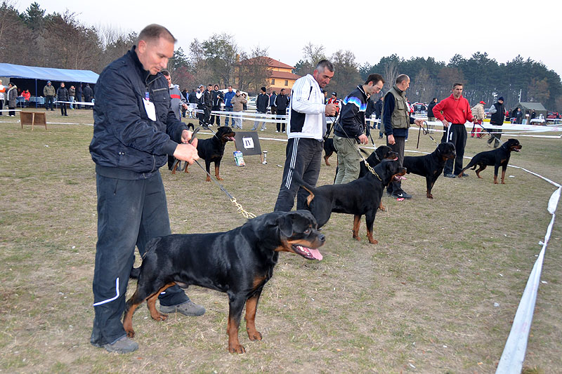 Yumbo von der Alten Festung Yumbo von der Alten Festung
