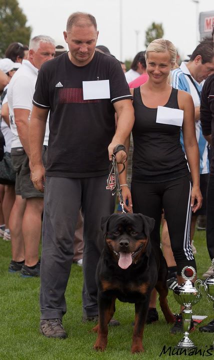 Yumbo von der Alten Festung Yumbo von der Alten Festung