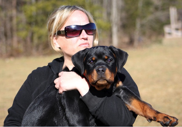 Zorion von der Alten Festung Zorion von der Alten Festung