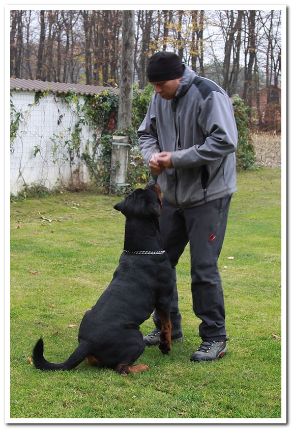 Zar von der Alten Festung Zar von der Alten Festung