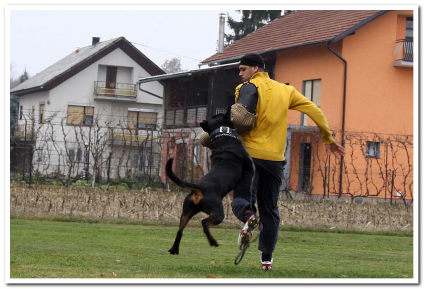 Zar von der Alten Festung Zar von der Alten Festung