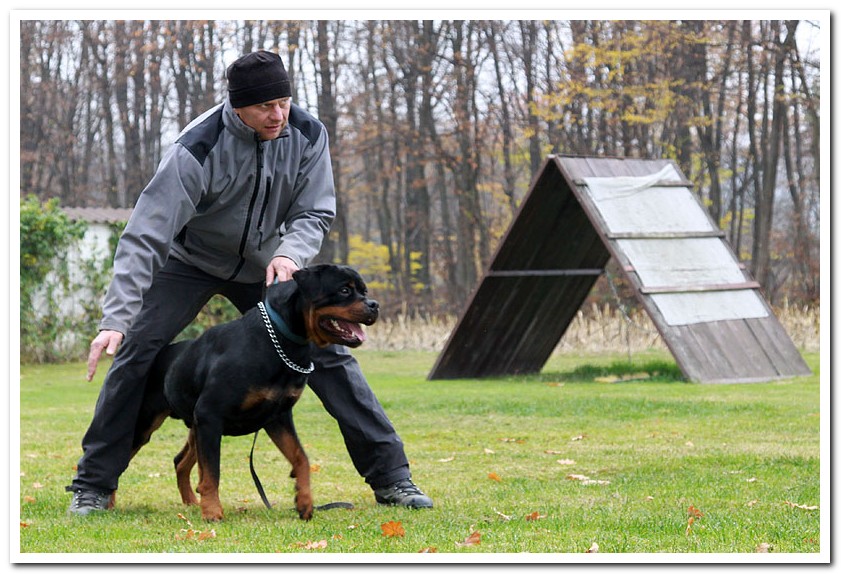 Zar von der Alten Festung Zar von der Alten Festung