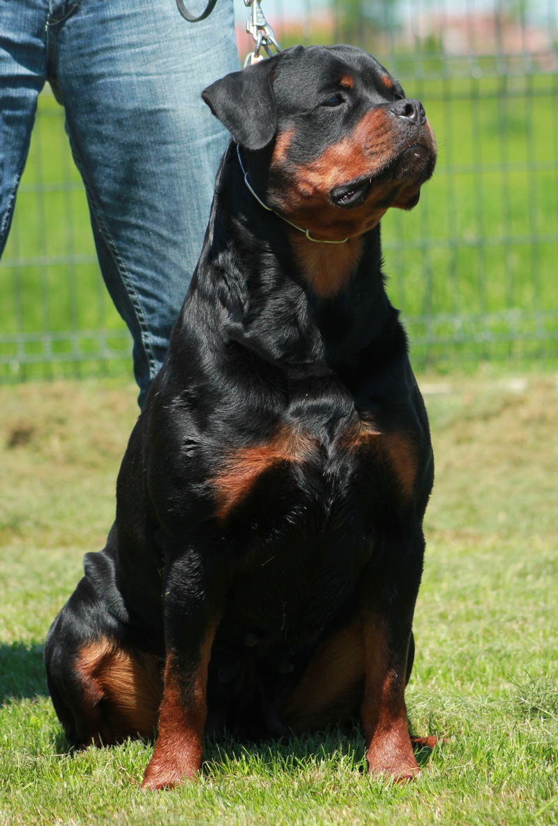 Zara von der Alten Festung