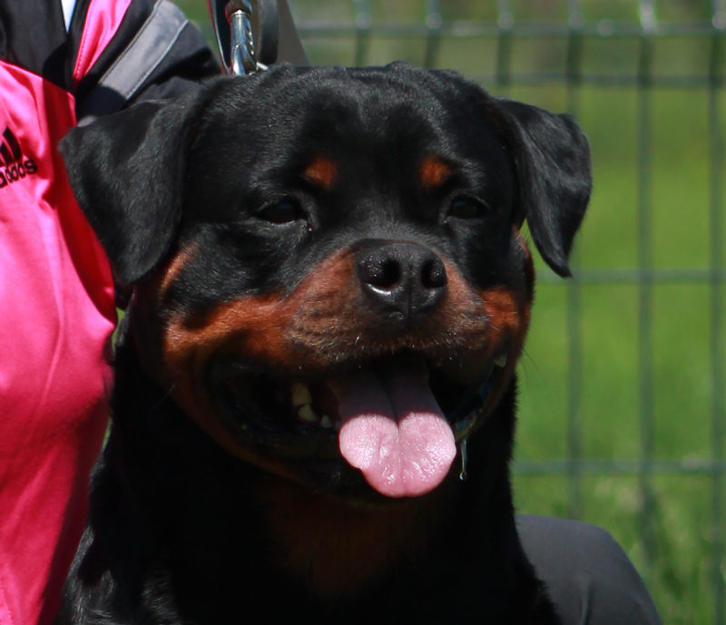 Viva von Kelemen zara