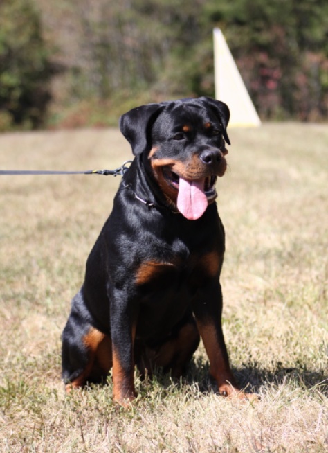 Zorion von der Alten Festung Zorion von der Alten Festung