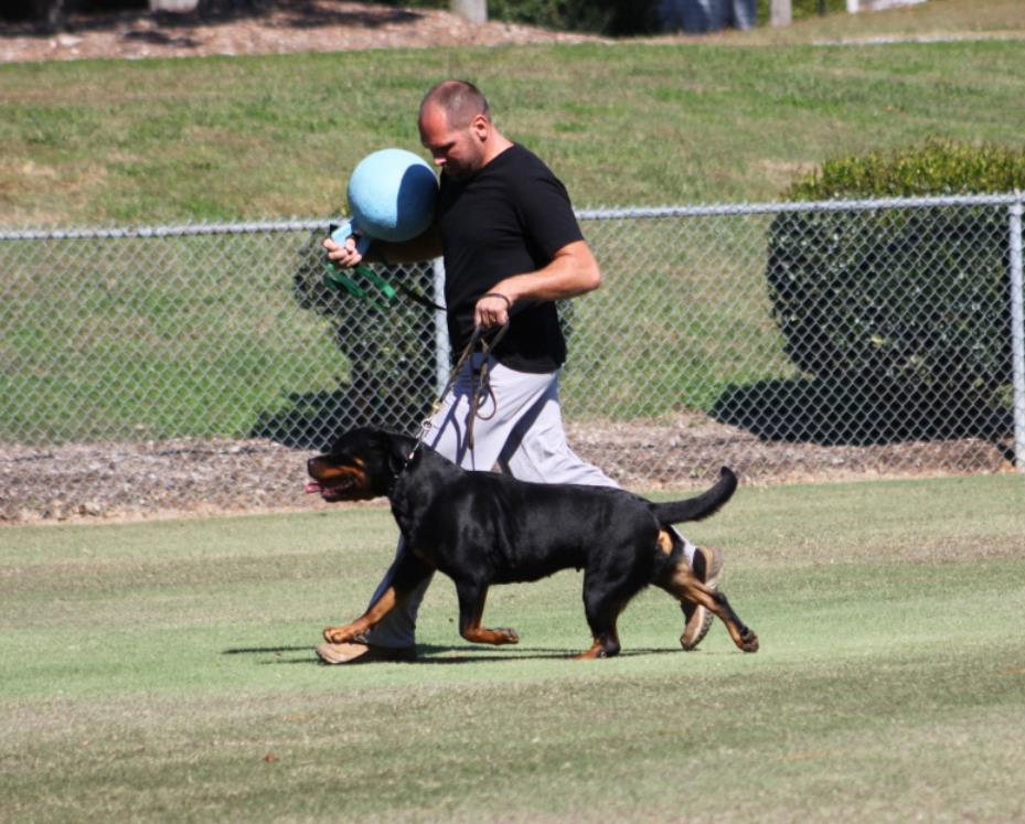 Zorion von der Alten Festung Zorion von der Alten Festung