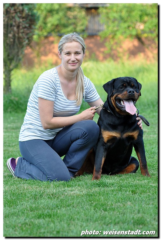 Zorro von der Alten Festung Zorro von der Alten Festung