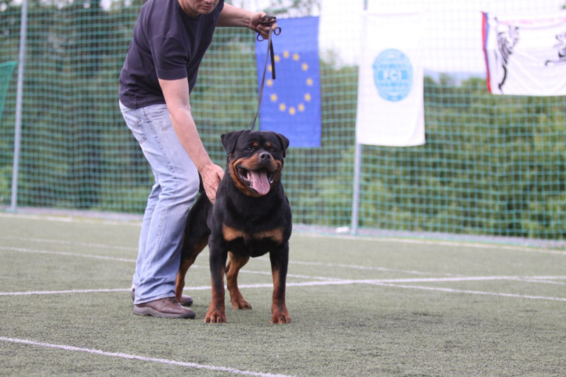 Astor von Junipera Astor von Junipera