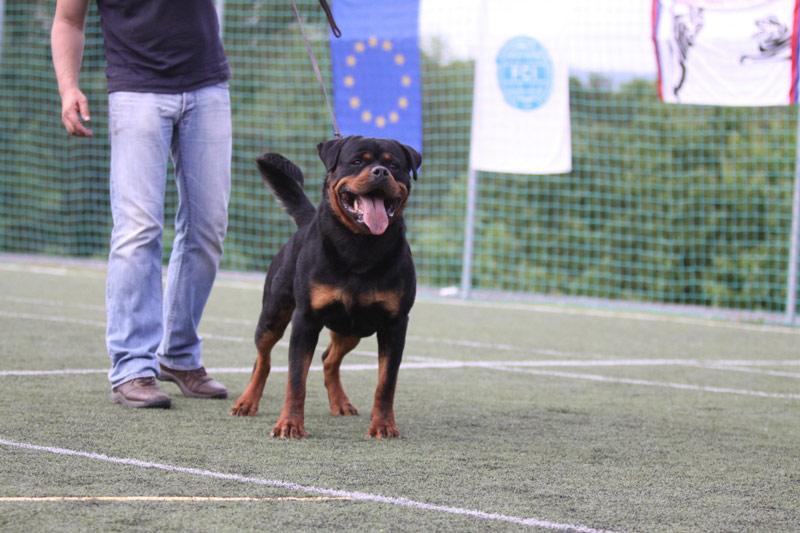 Astor von Junipera Astor von Junipera