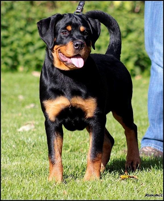 Espa vom Hause Sommer Espa vom Hause Sommer