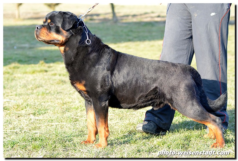 Nelson von der Alten Festung Nelson von der Alten Festung