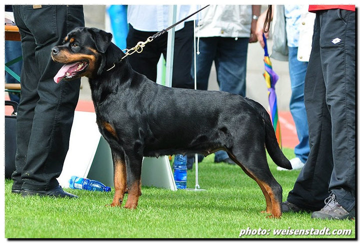 Olivia Ti En Men Olivia Ti En Men