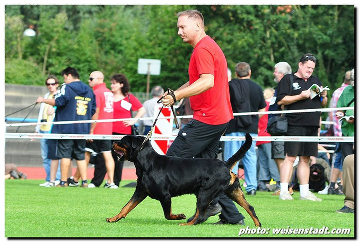 Olivia Ti En Men Olivia Ti En Men