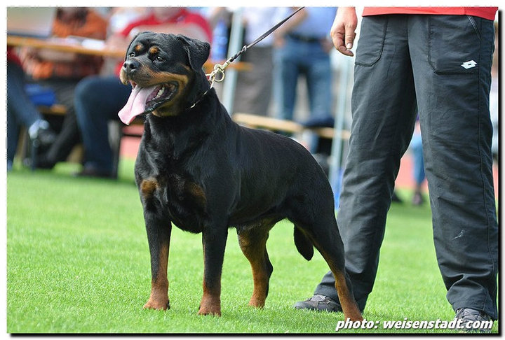 Olivia Ti En Men Olivia Ti En Men