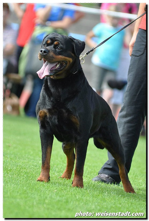 Olivia KS 2010 Olivia KS 2010