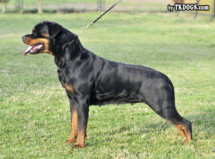 Olivia Ti En Men Olivia Ti En Men