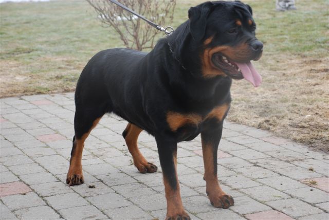 Wai von der Alten Festung Wai von der Alten Festung