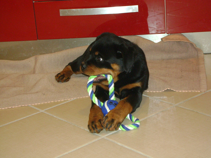 Zeta von der Alten Festung Zeta von der Alten Festung