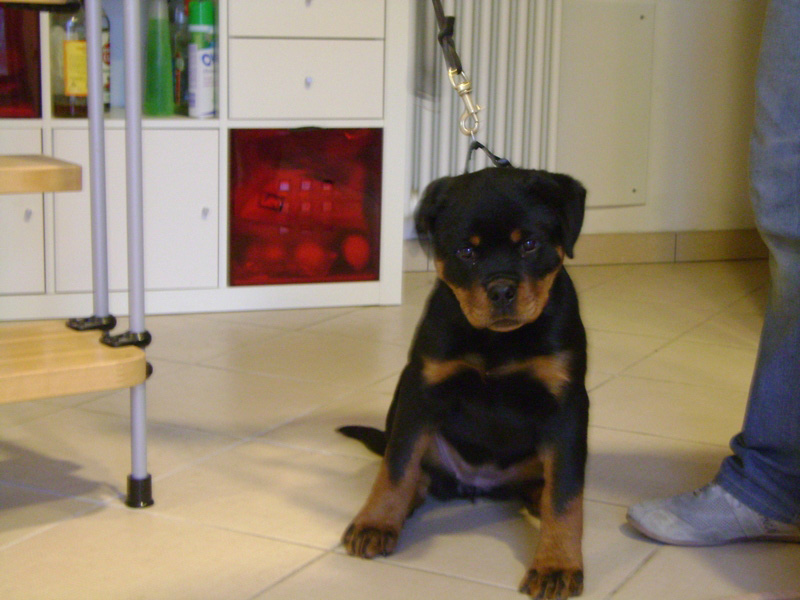 Zeta von der Alten Festung Zeta von der Alten Festung