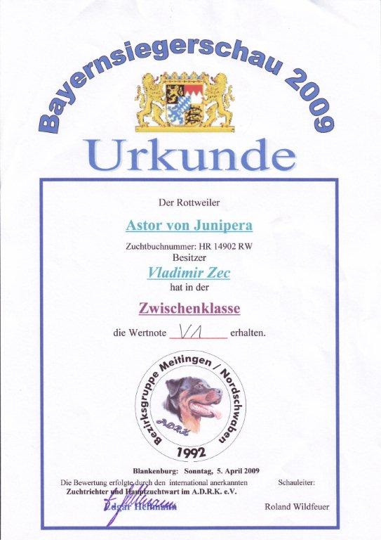 Astor Bayernsieger.jpg Astor Bayernsieger.jpg