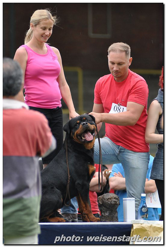 Astor von Junipera on IFR WORLD SHOW 2009 Astor von Junipera on IFR WORLD SHOW 2009