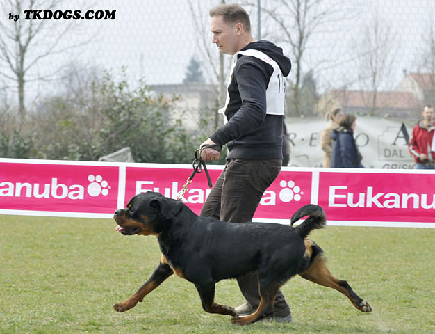 Astor von Junipera Astor von Junipera